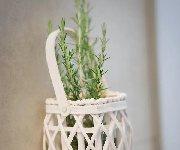 Stella's House 펜션 *