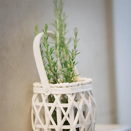 Stella's House Сasa de vacaciones *